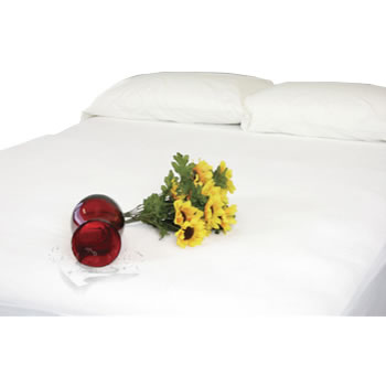 Waterproof Adjustable Mattress Protector