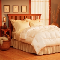 Pacific Coast® Light Warmth Down Comforter