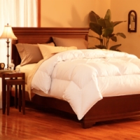 Pacific Coast® SuperLoft™ Down Comforter